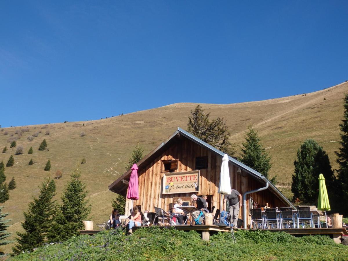 Bed and Breakfast Au Coeur Des Alpes Marignier Exterior foto